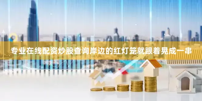 专业在线配资炒股查询岸边的红灯笼就跟着晃成一串