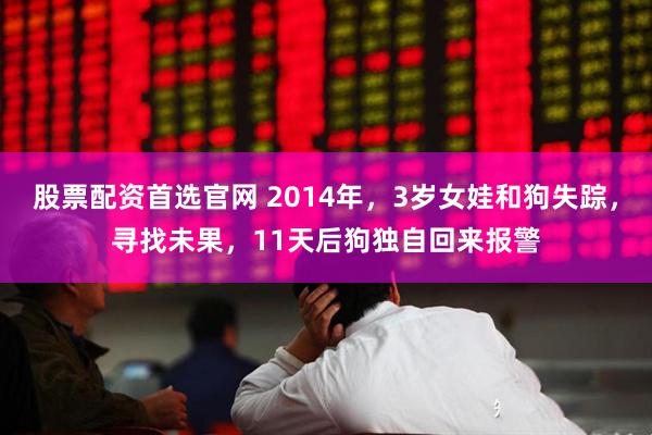 股票配资首选官网 2014年,3岁女娃和狗失踪,寻找未果,11天后狗独自回来报警