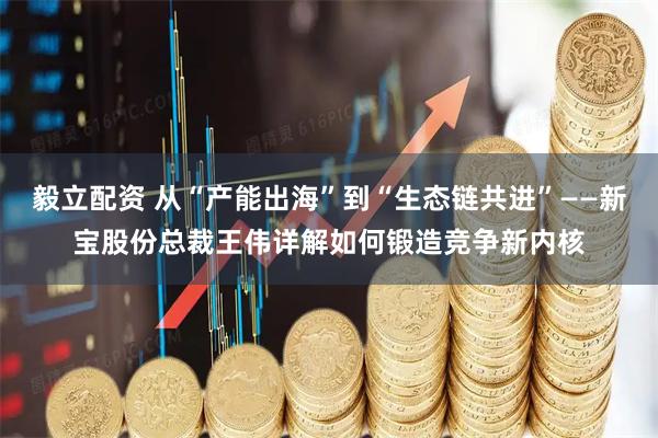 毅立配资 从“产能出海”到“生态链共进”——新宝股份总裁王伟详解如何锻造竞争新内核