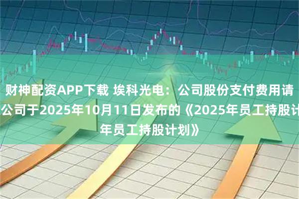 财神配资APP下载 埃科光电：公司股份支付费用请参照公司于2025年10月11日发布的《2025年员工持股计划》